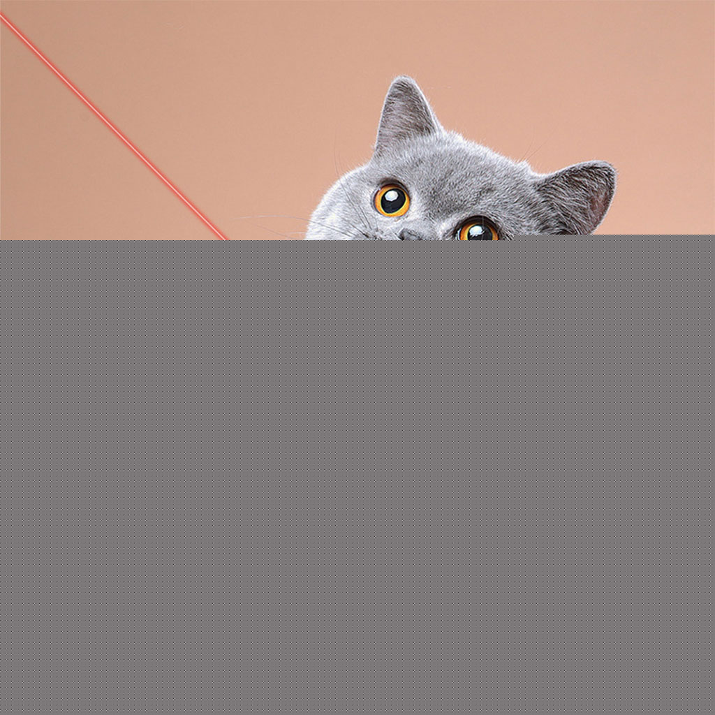 Collier Laser LED un Jouet Interactif pour Chat – سوار ليزر للقطط
