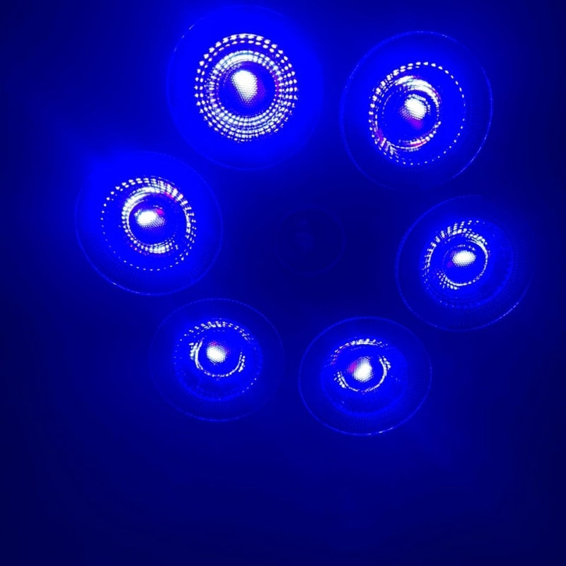 Projecteur de lumière Sonore RGB + W 4 en 1 Avec Bluetooth effet stroboscope