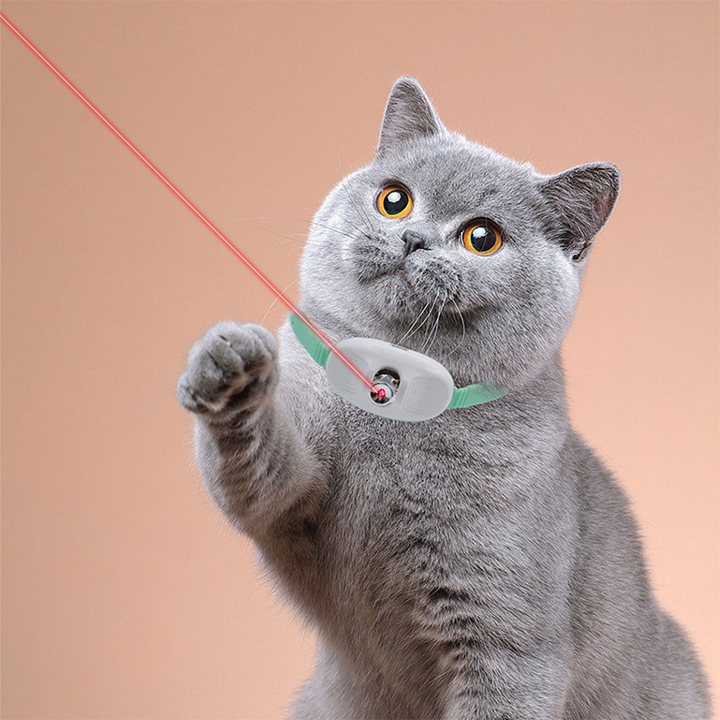 Collier Laser LED un Jouet Interactif pour Chat – سوار ليزر للقطط