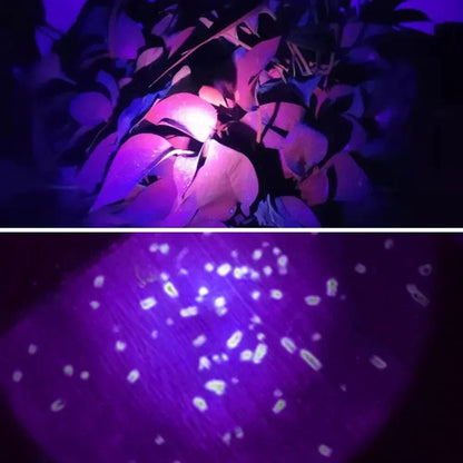 Lampe Frontale LED Rechargeable avec UV SQ-818-UV - مصباح الرأس القابل للشحن بإضاءة مزدوجة