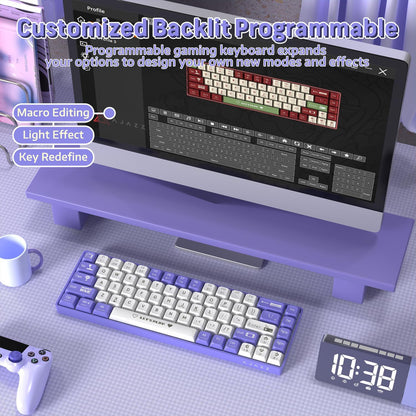Clavier Mécanique Gaming 65% Compact Filaire avec Hotswap et Rétroéclairage Rainbow - لوحة مفاتيح ميكانيكية