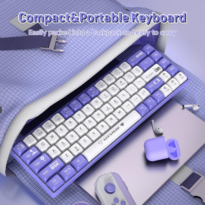 Clavier Mécanique Gaming 65% Compact Filaire avec Hotswap et Rétroéclairage Rainbow - لوحة مفاتيح ميكانيكية