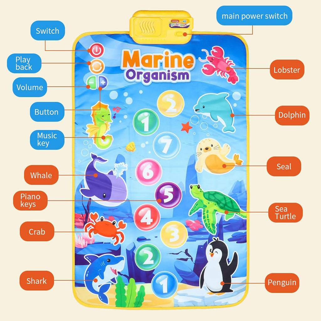 Tapis Musical et Jouet Éducatif pour Enfants 63x43cm – بساط ألعاب للرضع