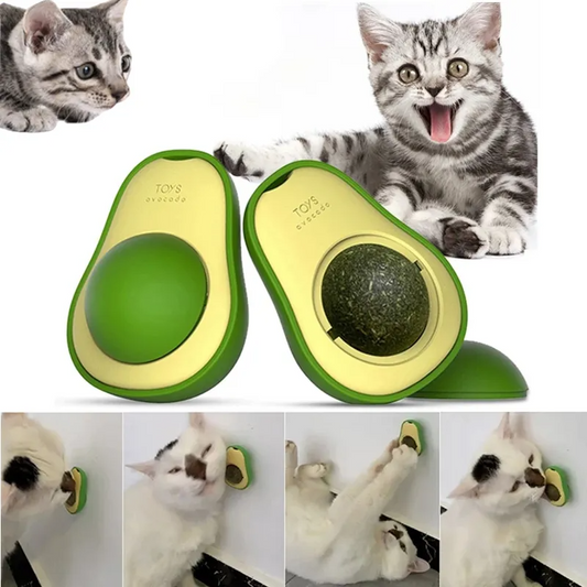Boule murale en forme d'avocat et d'herbe à chat, jouets à lécher comestibles, friandises rotatives pour chaton, 360 تنزوت