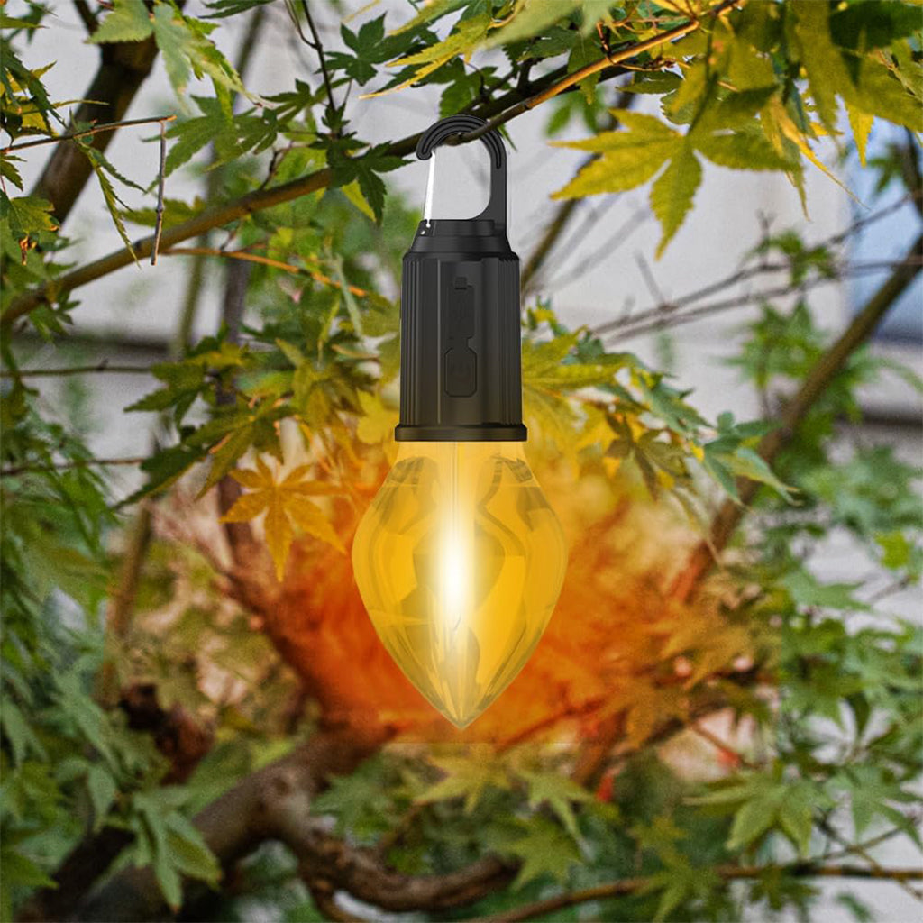 Lampes rechargeables avec crochet à clip, 3 modes d'éclairage