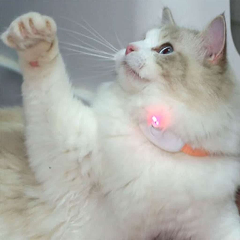 Collier Laser LED un Jouet Interactif pour Chat – سوار ليزر للقطط