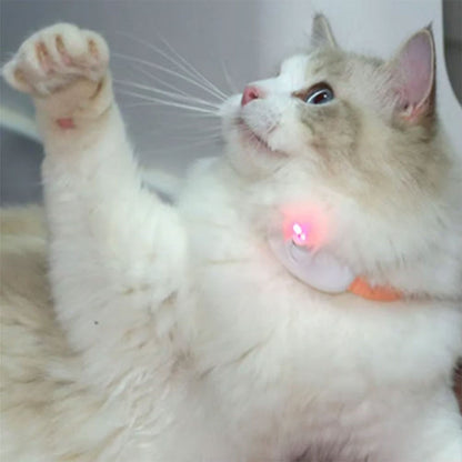 Collier Laser LED un Jouet Interactif pour Chat – سوار ليزر للقطط