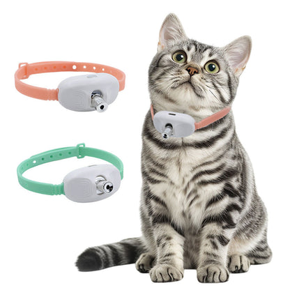 Collier Laser LED un Jouet Interactif pour Chat – سوار ليزر للقطط
