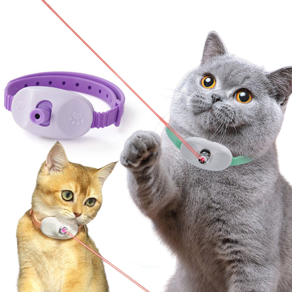 Collier Laser LED un Jouet Interactif pour Chat – سوار ليزر للقطط - تنزوت