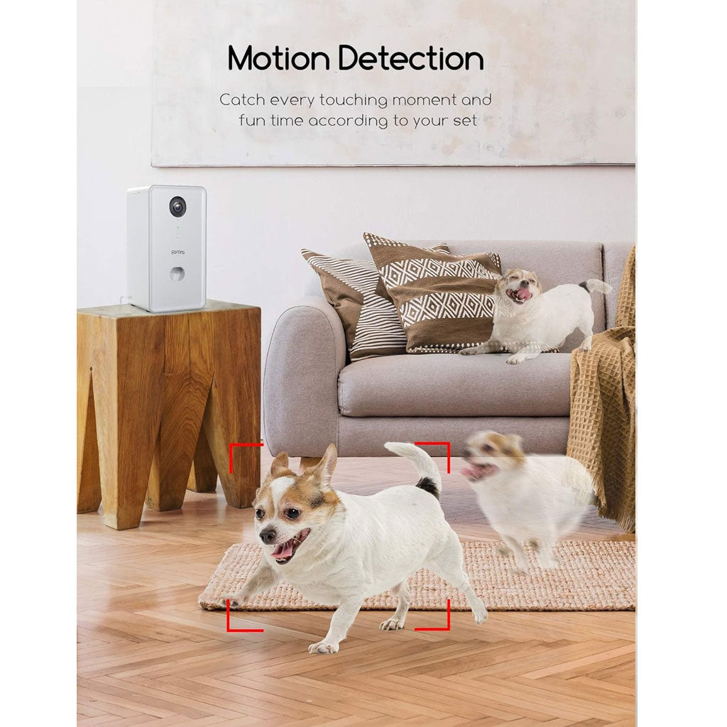 Faroro Caméra Full HD 1080P pour chien avec distributeur de friandises à distance