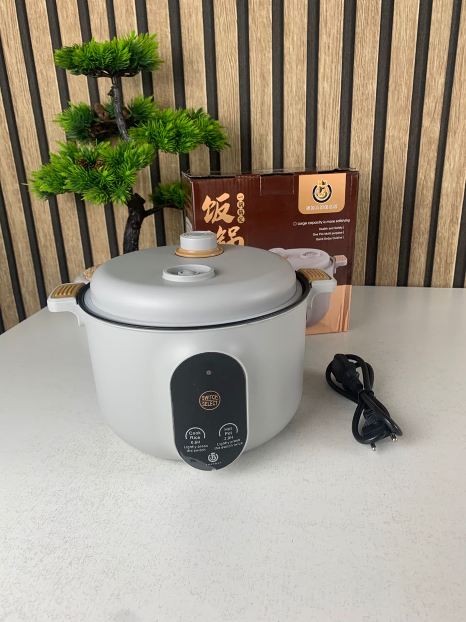 Cuiseur Electrique Multifonctionnel pour la Cuisine 20cm – جهاز طهي محمول