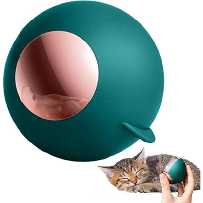 Boule Anti Peluche Adhesif en Gel Portable multifonctionnelle pour Vêtements,Canapé,Voiture et animaux