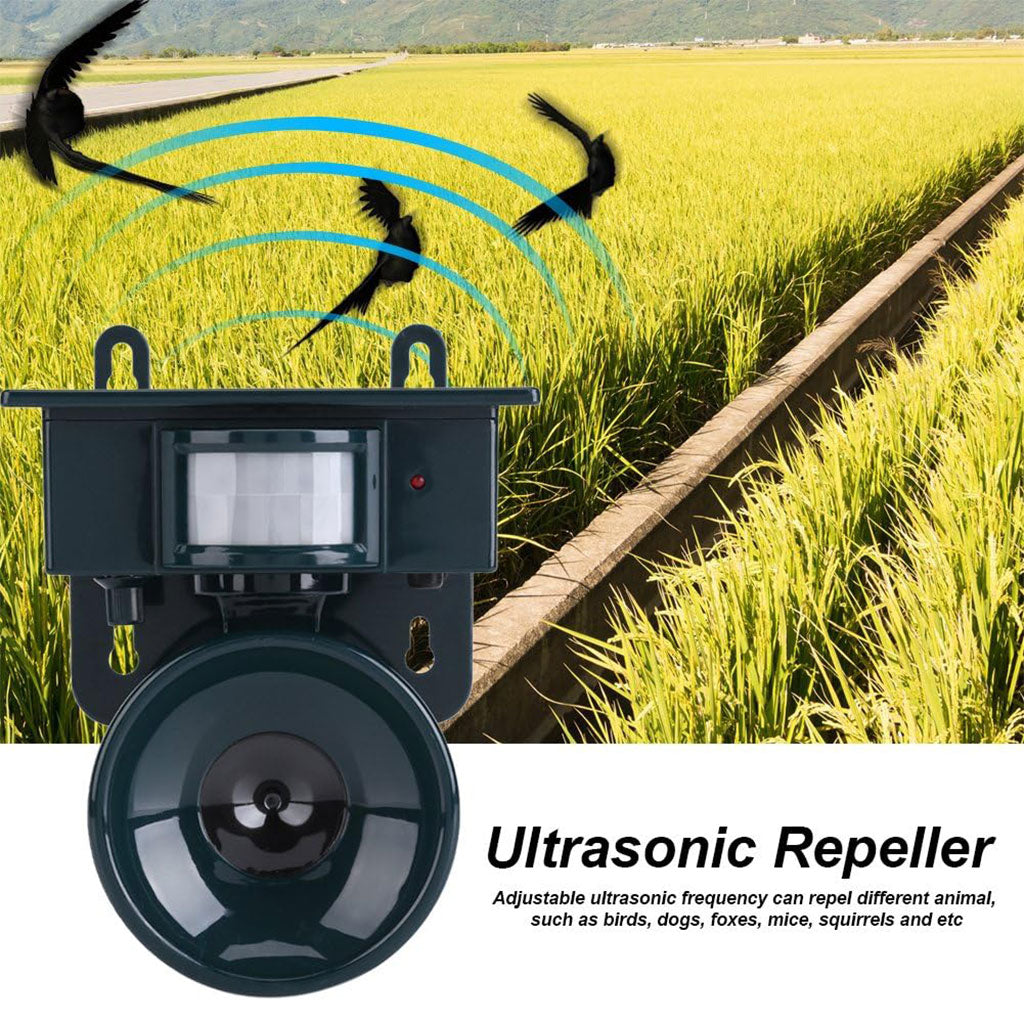 Répulsif solaire sonique pour animaux et oiseaux avec détecteur de mouvement – جهاز طارد للحيونات والطيور
