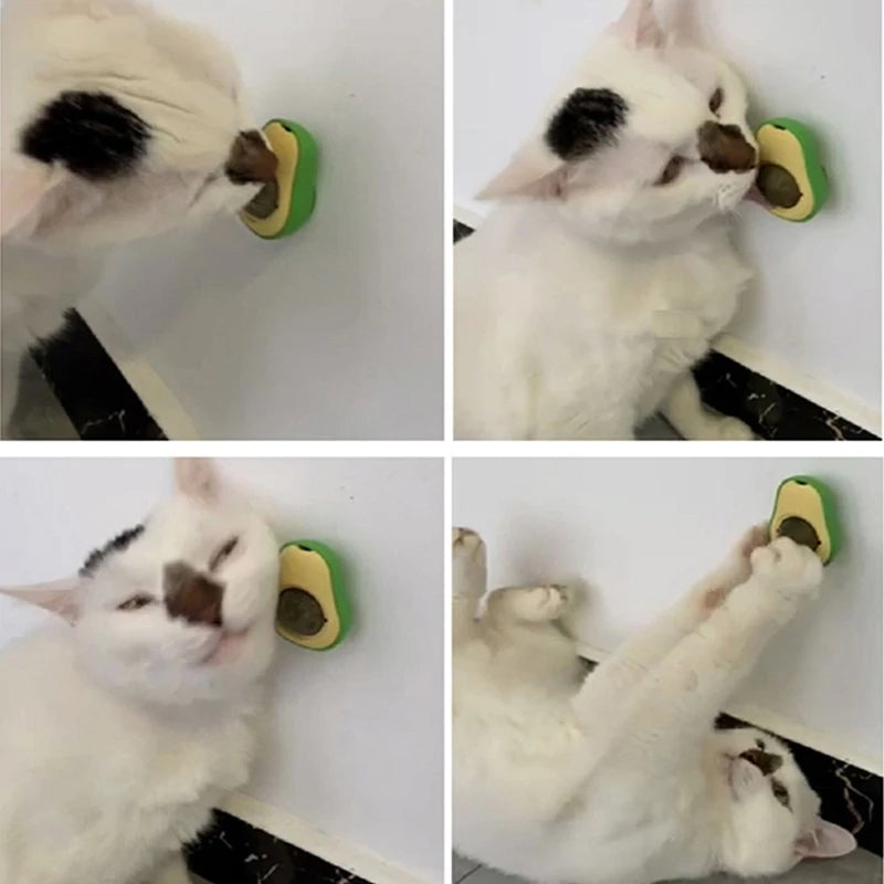 Boule murale en forme d'avocat et d'herbe à chat, jouets à lécher comestibles, friandises rotatives pour chaton, 360