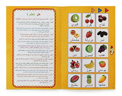الكتاب الالكتروني للمفردات العربية لتعليم سهل و مرح Livre Electronique De Vocabulaire Arabe Pour Un Apprentissage Facile Et Amusant