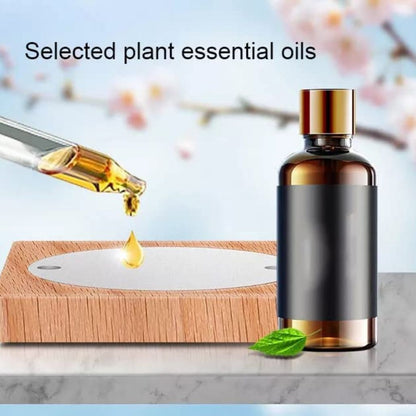 Diffuseur de Parfum Solaire en Forme d'Avion pour Tableau de Bord – معطر جو على شكل طائرة