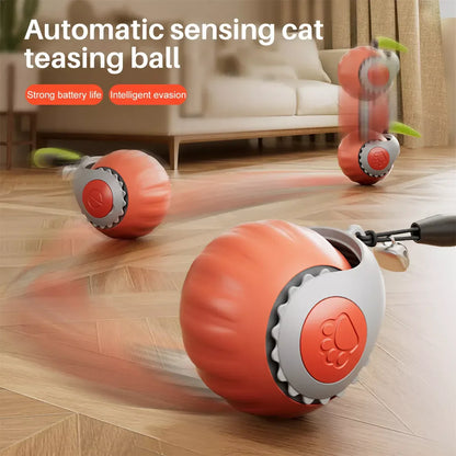 Jouets interactifs pour chat boule roulante électrique – لعبة القطط الكرة المتدحرجة الكهربائية