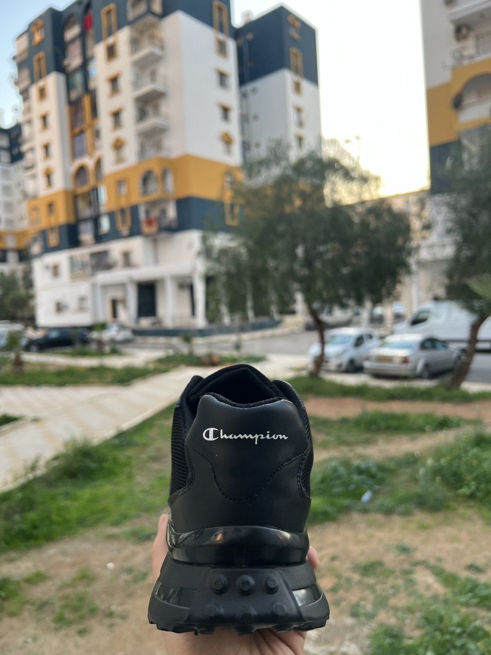 Sneakers champion CH105 Premium Homme CH105
